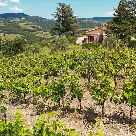 Tenuta Il Poggetto Radda in Chianti Exterior foto